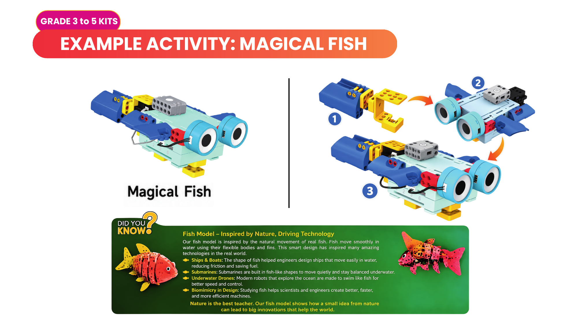 Magical Fish