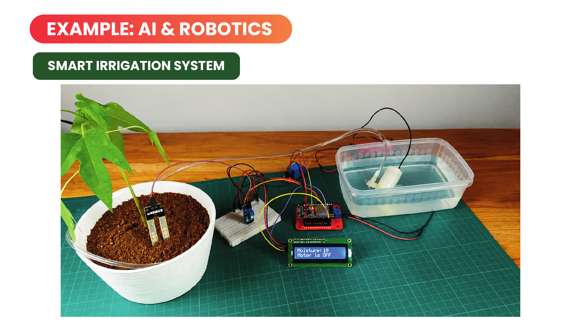 Smart Irrigation System